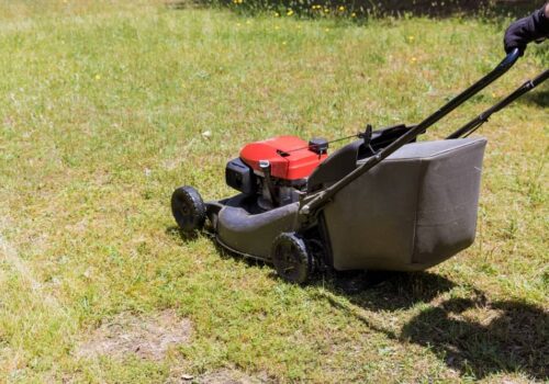 Troy Bilt TB200 Wont Start (9 Common Problems)